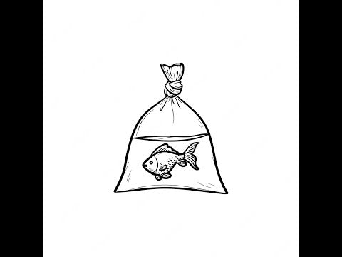Bagging Fish 101