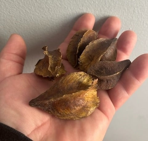 Arjuna Pods per oz.