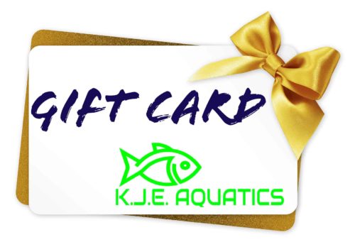 KJE Aquatics Gift Card