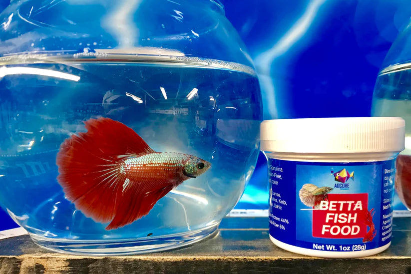 Agcore Betta Fish Food