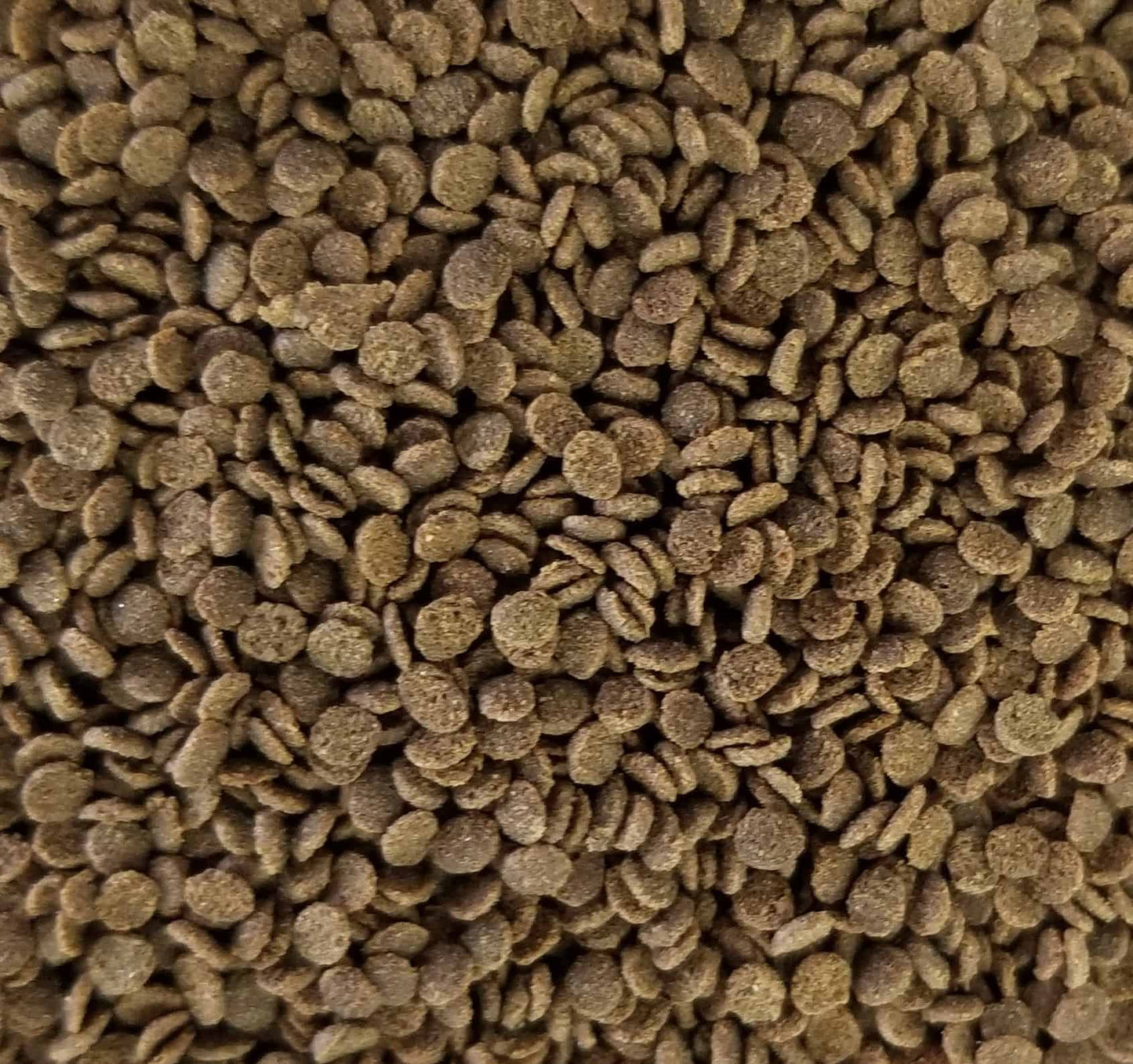 Northfin Bug Pro 130gram