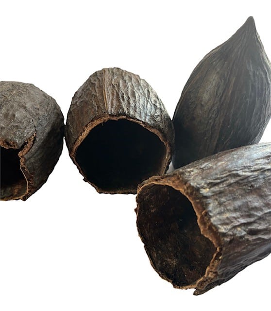 Cocoa Pods