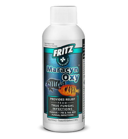 Fritz Aquatics Maracyn Oxy 4oz