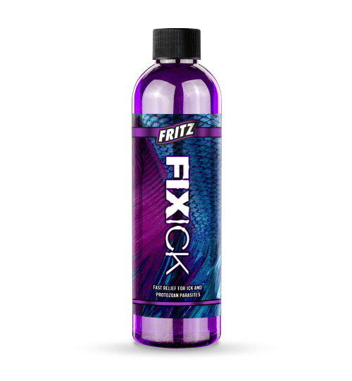 Fritz Fixick 16oz