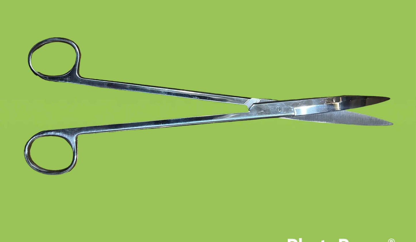 ISTA Pro Scissors Curved End I-547 10"