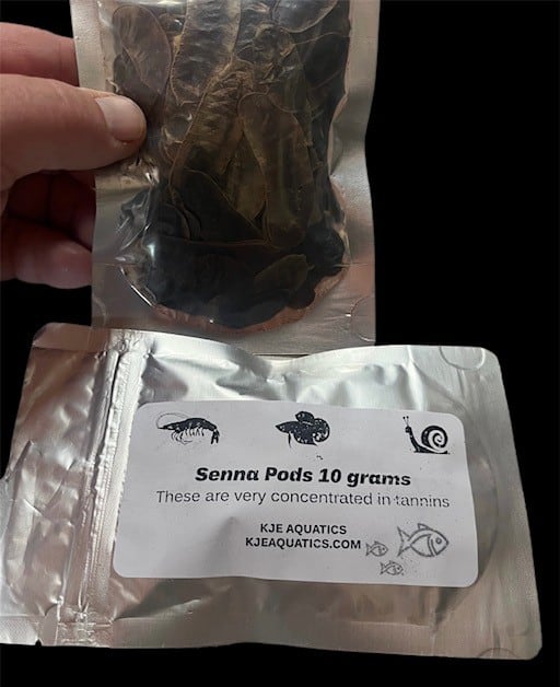 Senna Pods 10 grams