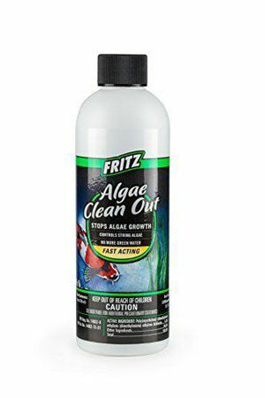 Fritz Algae Clean-Out 8 Oz.