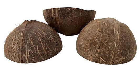 Coconut Shell No Hole