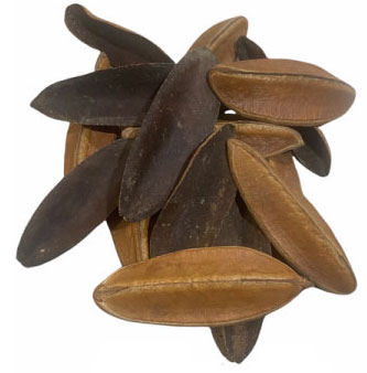 Triangle Pods (qty 3) – KJE Aquatics