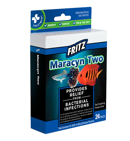 Fritz Maracyn Two 24 pack
